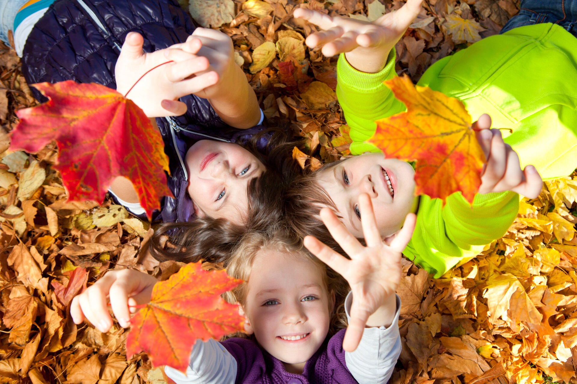 Kinder spielen mit bunten Hrbstblättern | © Drubig Photo / Adobe Stock