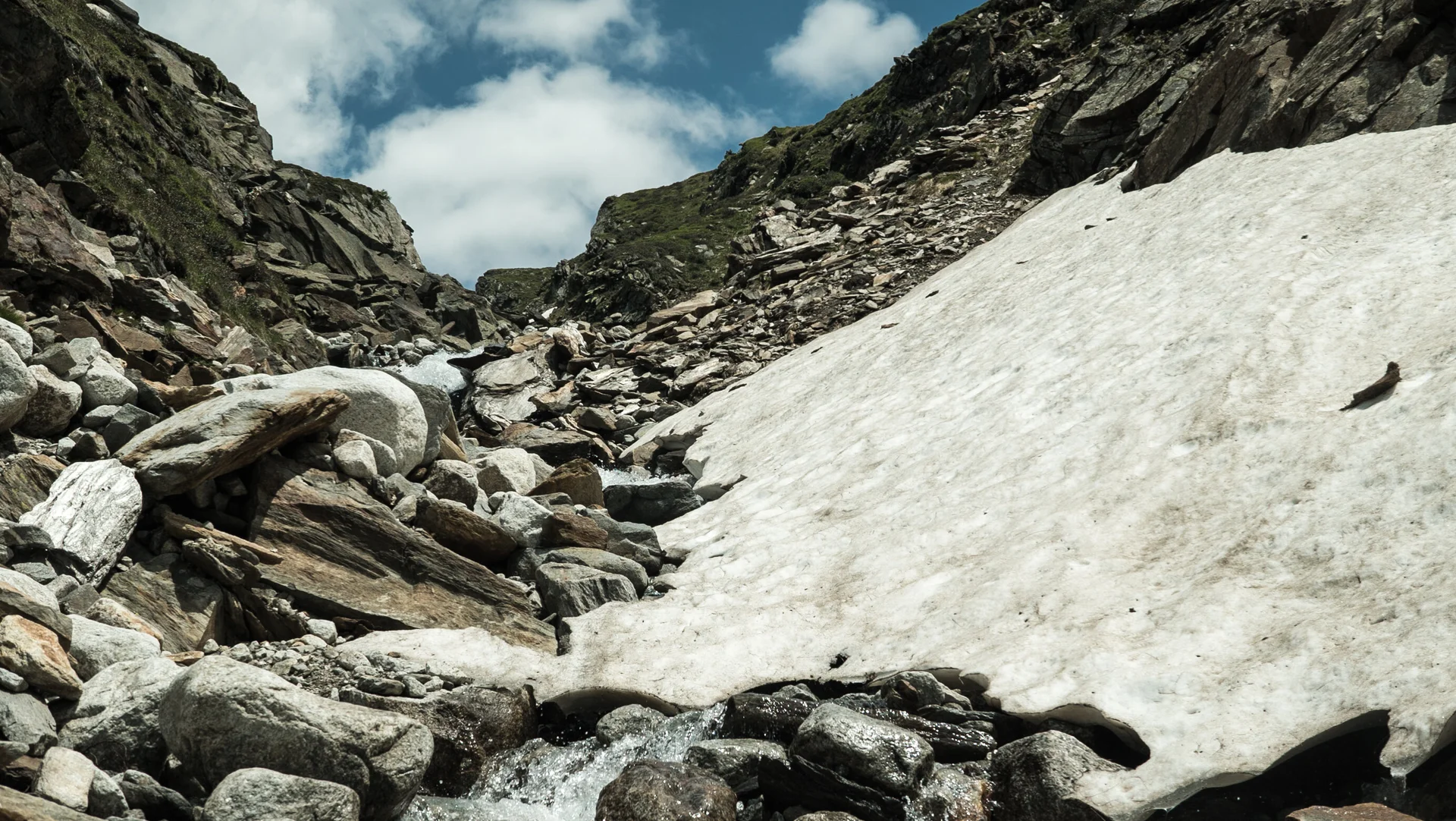 Nachaufnahme: letzter Schnee in den Alpen | © DAV/Marcel Dambon Nahaufnahme: letzter Schnee in den Alpen | © DAV/Marcel Dambon